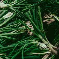 BerlinGreen Schnittlauch Samen im Einzelpack