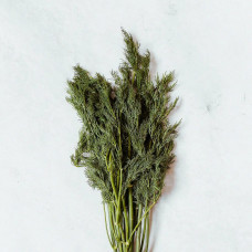 BerlinGreen Dill Samen im Einzelpack