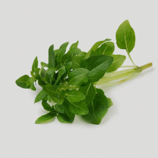 BerlinGreen Basilikum Piccolino Samenpaket 4er-Pack