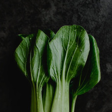 BerlinGreen Pak Choi Samenpaket 4er-Pack