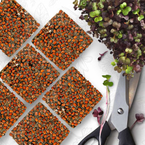 OraGarden Soil-MicroGreen Radies Saatpad Set im 6er