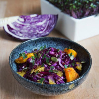 Heimgart Saatpads für Rotkohl im 6er-Set