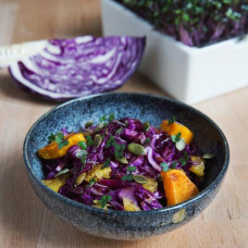 Heimgart Saatpad Rotkohl