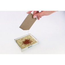 Flixgrün Bio-MicroGreens-Anzuchtset Rucola