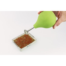 Flixgrün Bio-MicroGreens-Anzuchtset Rucola