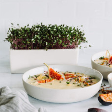 Heimgart Saatpad Kohlrabi