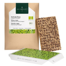 Heimgart Saatpad Kohlrabi