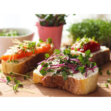 OraGarden Soil-MicroGreen Alfalfa Saatpad Set im 6er