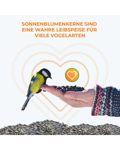 OraGarden Bio Energieprotz Premium Vogelfutter 0.7 kg