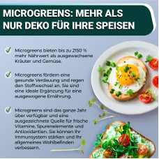 OraGarden Soil-MicroGreen Brokkoletti Saatpad Set im 36er
