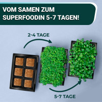 OraGarden Soil-MicroGreen Rote Linsen Saatpad Set im 36er
