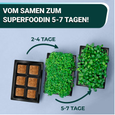 OraGarden Soil-MicroGreen Radies Saatpad Set im 6er