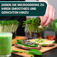 OraGarden Soil-MicroGreen Rote Linsen Saatpad Set im 36er