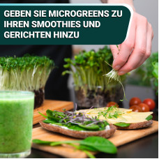 OraGarden Soil-MicroGreen Radies Saatpad Set im 6er