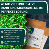 OraGarden Soil-MicroGreen Rote Linsen Saatpad Set im 36er