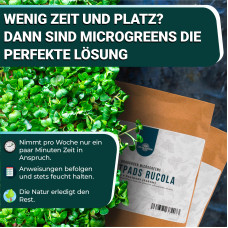 OraGarden Soil-MicroGreen Radies Saatpad Set im 6er