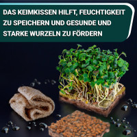 OraGarden Soil-MicroGreen Rote Linsen Saatpad Set im 36er