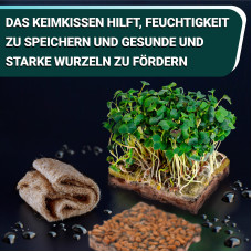 OraGarden Soil-MicroGreen Radies Saatpad Set im 6er
