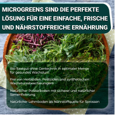 OraGarden Soil-MicroGreen Radies Saatpad Set im 6er