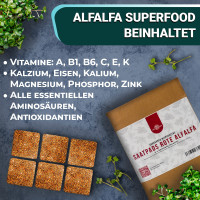 OraGarden Vitamin Microgreens-Saatpads-Mix 24 Stück