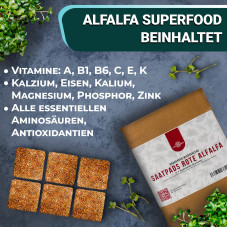 OraGarden Soil-MicroGreen Rucola Saatpad Set im 36er