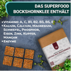 OraGarden Soil-MicroGreen Bockshornklee Saatpad Set im 36er