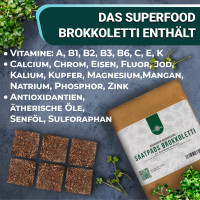 OraGarden Vitamin Microgreens-Saatpads-Mix 24 Stück