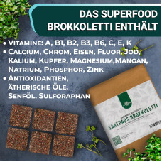 OraGarden Vitamin Microgreens-Saatpads-Mix 24 Stück