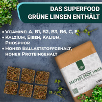 OraGarden Frische Microgreens-Saatpads-Mix 24 Stück