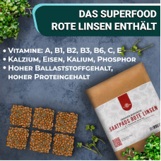 OraGarden Soil-MicroGreen Rote Linsen Saatpad Set im 36er