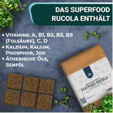 OraGarden Soil-MicroGreen Rucola Saatpad Set im 6er