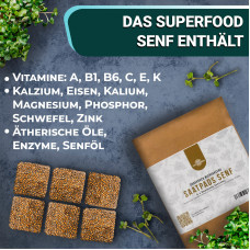 OraGarden Soil-MicroGreen Senf Saatpad Set im 36er