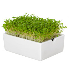 Heimgart Microgreens Starter-Kit