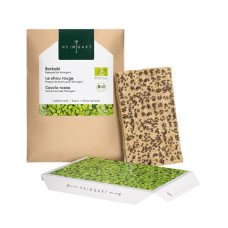 Heimgart Saatpad Rotkohl