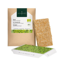 Heimgart Saatpads für Senf im 6er-Set