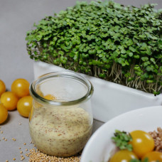 Heimgart Scharfer Microgreens Mix im 6er-Set