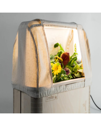 BerlinGreen GreenBox Große Vielfalt Bundle