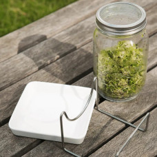 Keimgrün Sprossen Anzuchtset “Sparpaket”