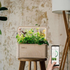 BerlinGreen GreenBox