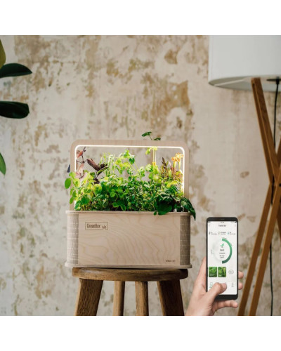 BerlinGreen GreenBox