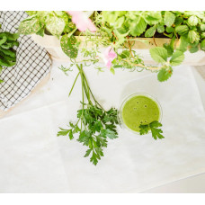 BerlinGreen PlantPlugs Super-Vitamin-Mix 8er-Pack