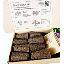 BerlinGreen PlantPlugs Summer Meadow Mix 8-Pack
