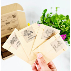 BerlinGreen PlantPlugs Summer Meadow Mix 8-Pack