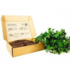 BerlinGreen PlantPlugs Super-Vitamin-Mix 8er-Pack