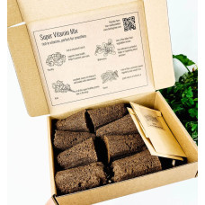 BerlinGreen PlantPlugs Super-Vitamin-Mix 8er-Pack