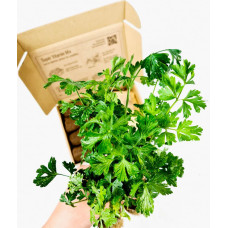 BerlinGreen PlantPlugs Super-Vitamin-Mix 8er-Pack