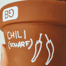 BerlinGreen GreenBox PlantPots & Magic Pen Set