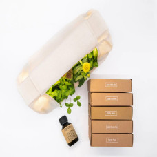 BerlinGreen GreenBox Große Vielfalt Bundle