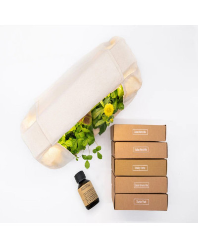 BerlinGreen GreenBox Große Vielfalt Bundle