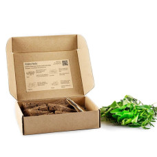 BerlinGreen PlantPlugs Vitality Set 8-Pack